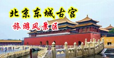 男人的jj插入女人的jj的视频中国北京-东城古宫旅游风景区